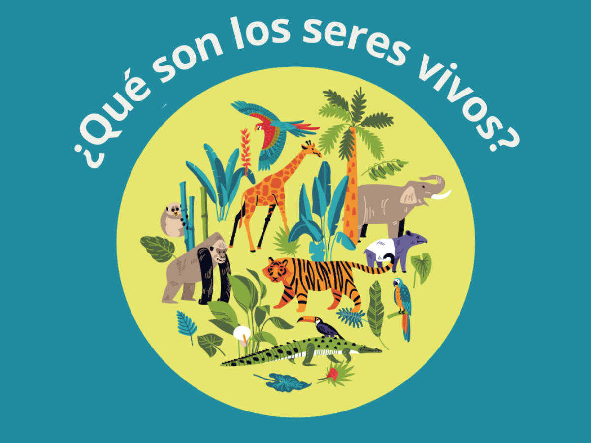Qué son los seres vivos? Y porque son importantes