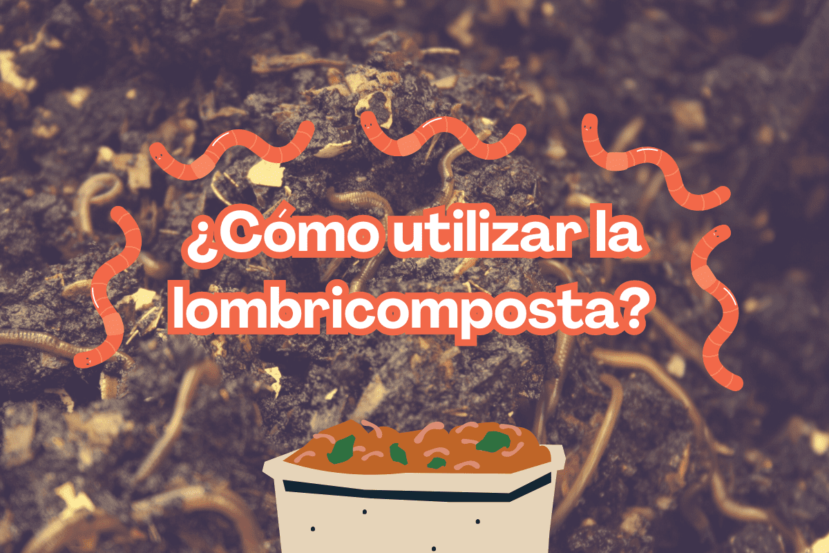 ¿Cómo usar la lombricomposta? Todos sus usos