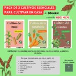 Guías de Cultivo para Huerto en Casa: 3 Vegetales Básicos
