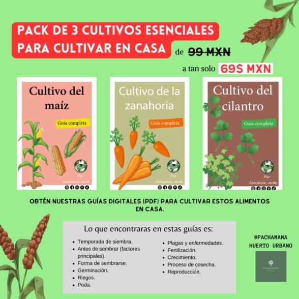 Paquete de 3 cultivos