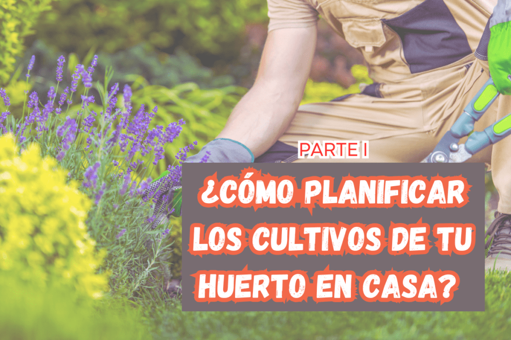 ¿Cómo planificar los cultivos de tu huerto en casa? PARTE 1