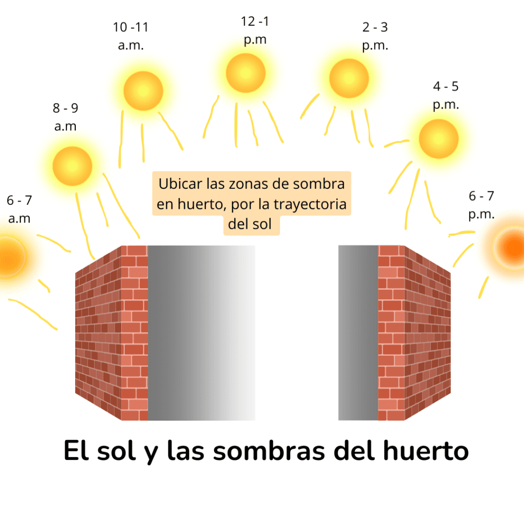 Direccion del sol, sol y sombra. Huerto en casa