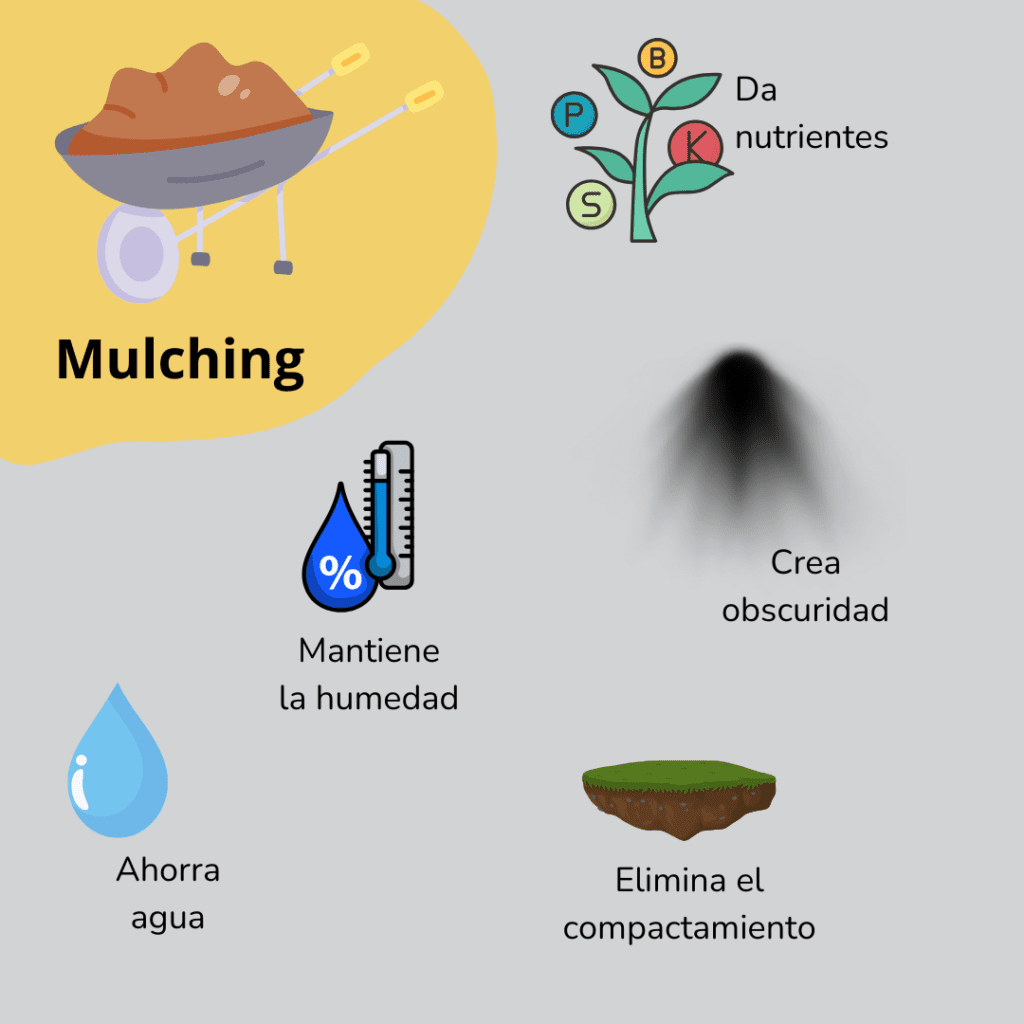 huerto en casa- mulching