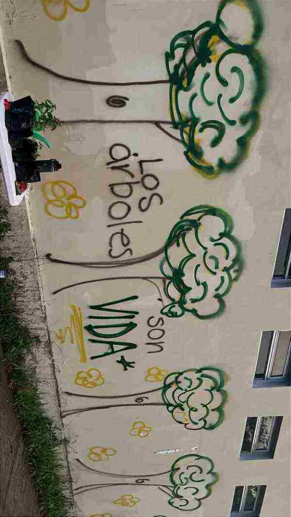 taller huerto en casa - cuidado del medio ambiente