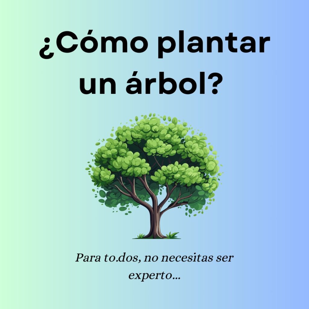 Portada - como reforestar un árbol
