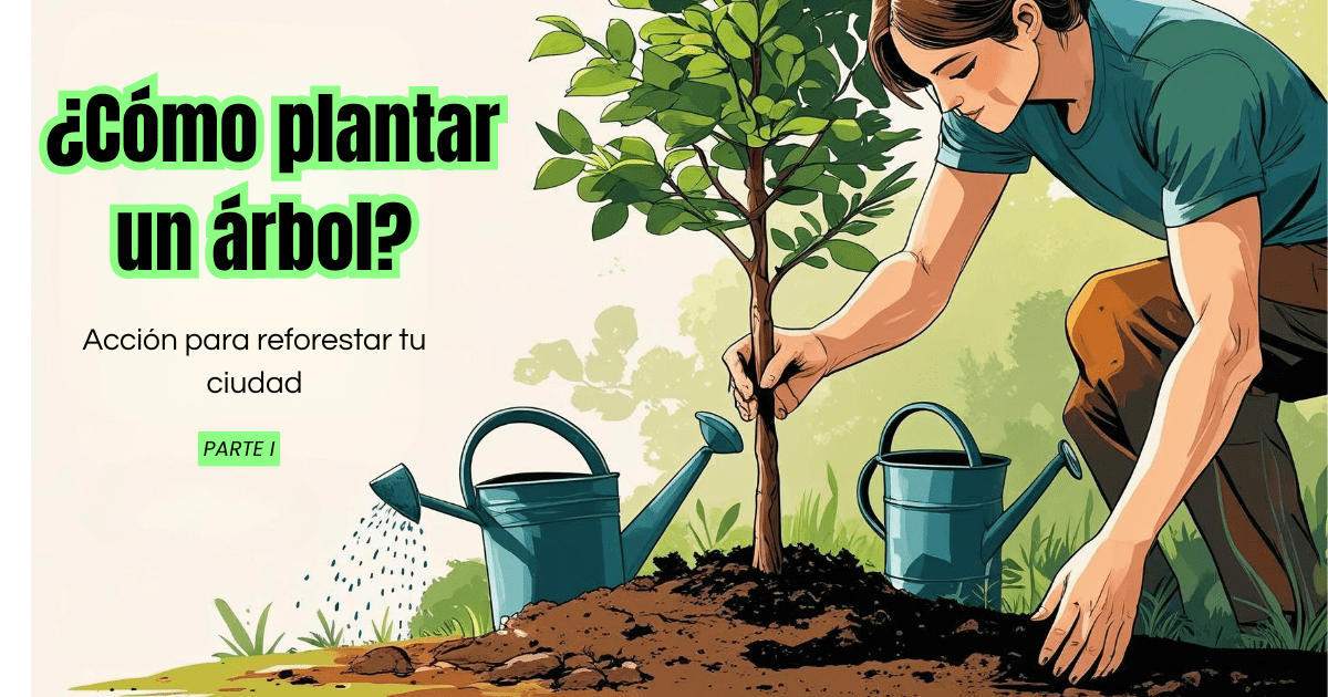 ¿Cómo plantar un árbol? Acción para reforestar tu ciudad
