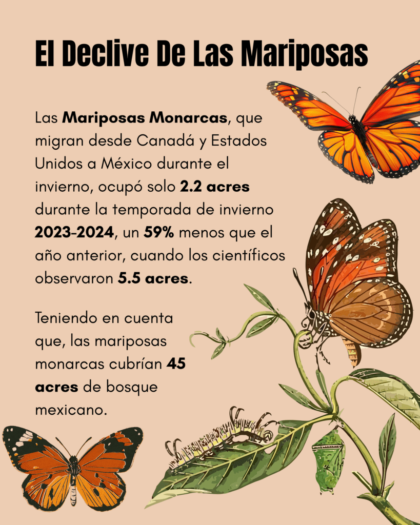 Las mariposas