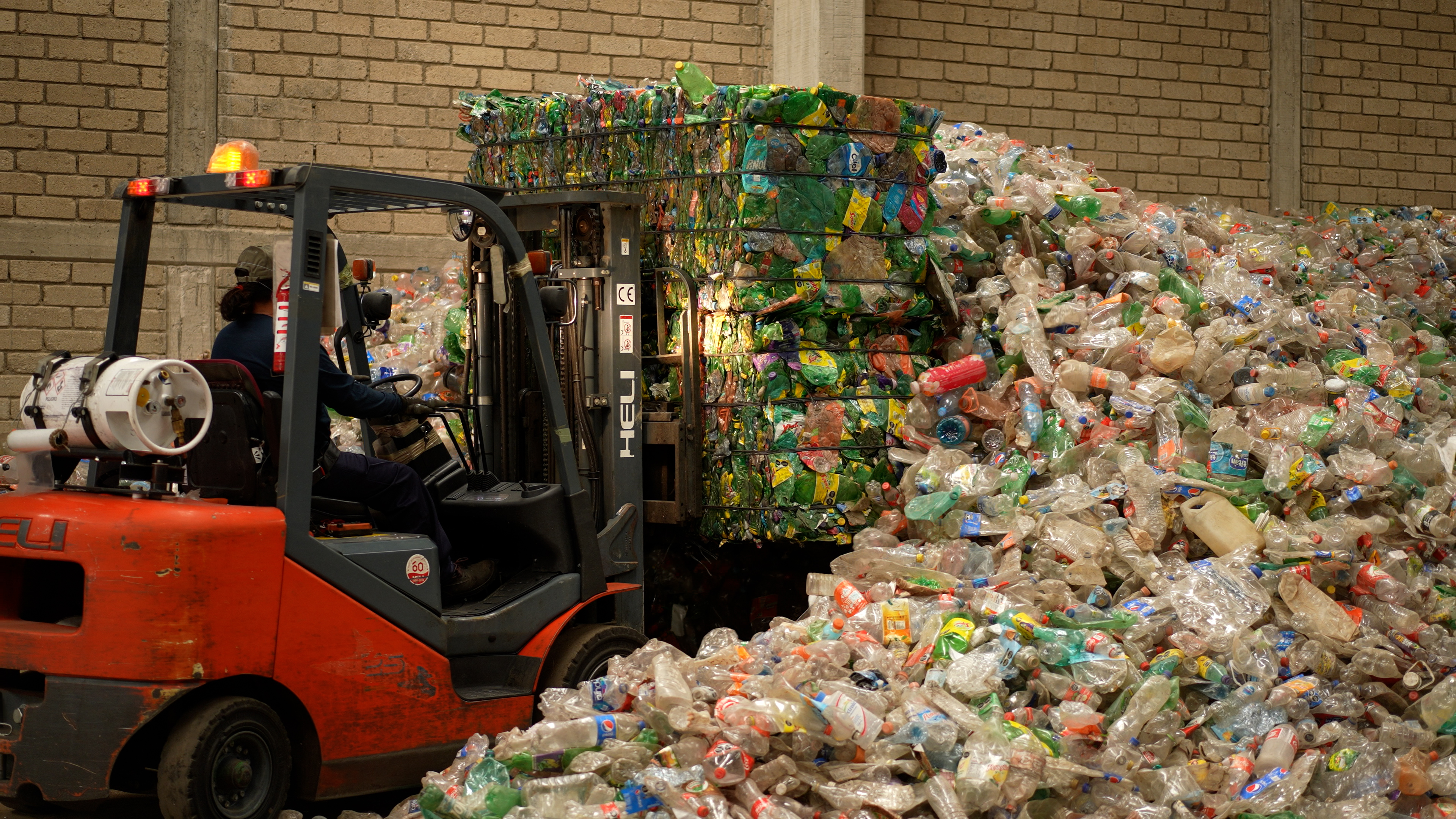 ECOCE, educacion ambiental