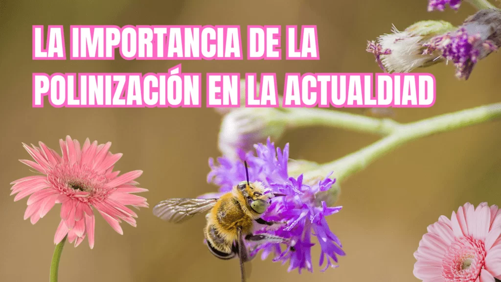 La importancia de la polinización en la actualidad